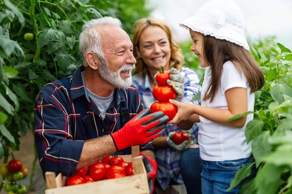 les bénéfices d'une alimentation bio pour la perte de poids